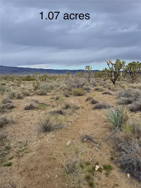 lot402 Saddle Dr, Dolan Springs, AZ 86441