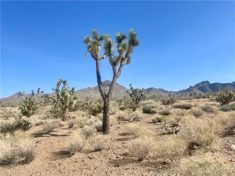 327-06 541 19th St, Dolan Springs, AZ 86441