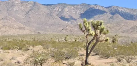 5 W Acres W Paiute Dr, Meadview, AZ 86444