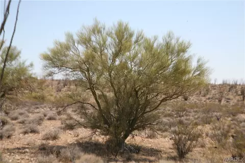 F15 & 16 Lorton Drive, Yucca, AZ 86438