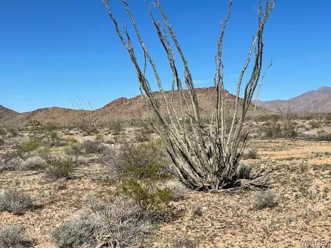 245-19 S 203 S Douglas Rd, Yucca, AZ 86438