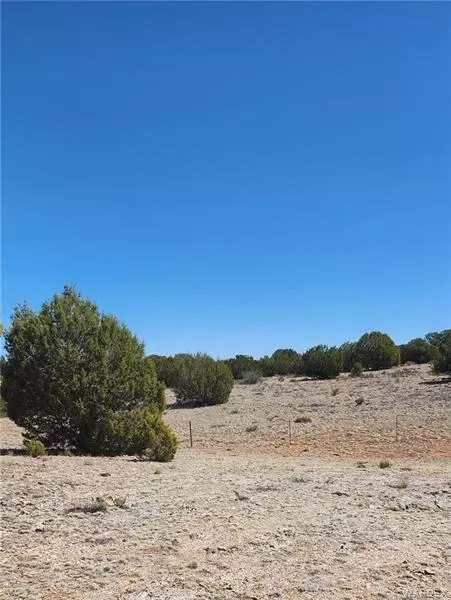 301-31 038e Roaming Way, Seligman, AZ 86337