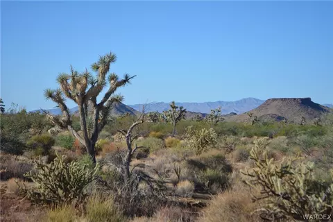 lot S 9 10 Martin Dr, Yucca, AZ 86438