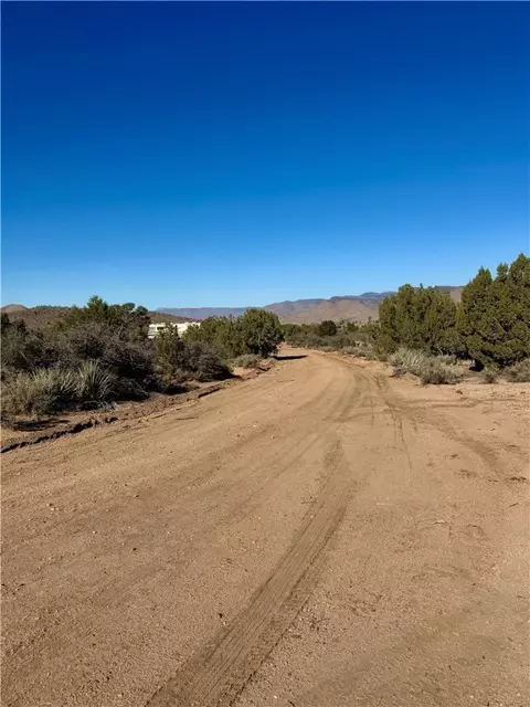 6806 N Frerichs Ranch Rd, Hackberry, AZ 86411 photo 30
