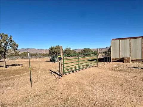 6806 N Frerichs Ranch Rd, Hackberry, AZ 86411 photo 5