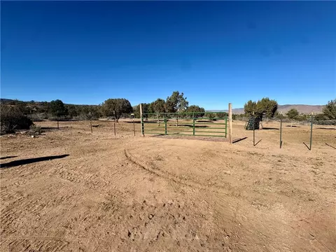 6806 N Frerichs Ranch Rd, Hackberry, AZ 86411 photo 6