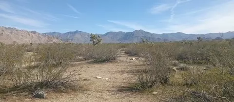 lot005 Nancy Dr, Yucca, AZ 86438