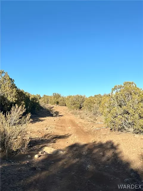 159 E Jackalope Way, Kingman, AZ 86401 photo 6