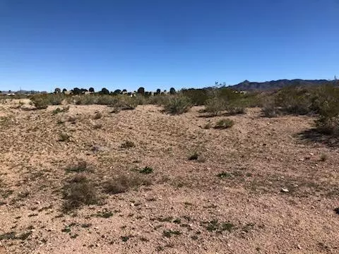 321-39 097 Diamond Back Dr, Kingman, AZ 86401
