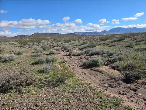 000 N Cotton #20, Dolan Springs, AZ 86441