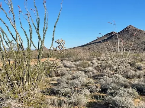 lot16 S Desert View Rd, Yucca, AZ 86438