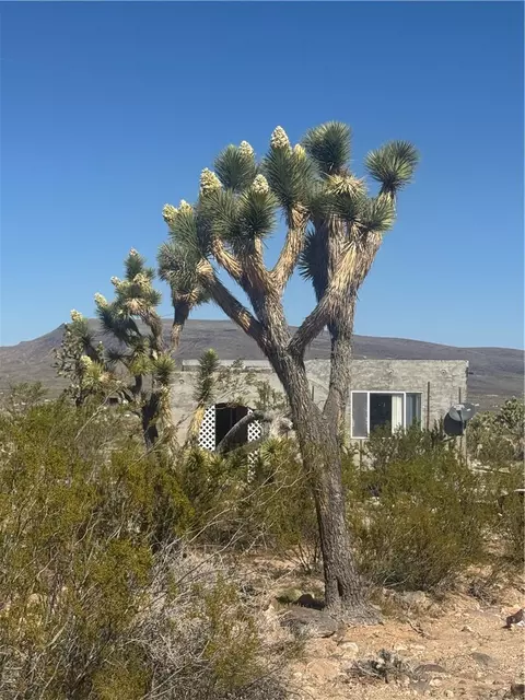 5789 17th St, Dolan Springs, AZ 86441