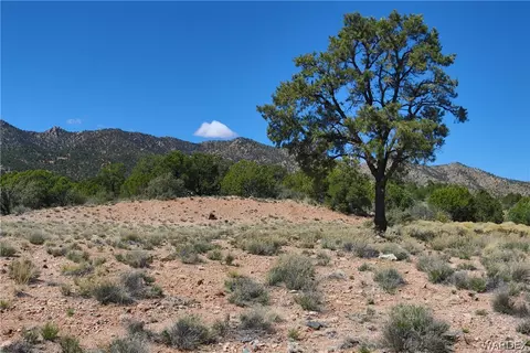 313-79 012c Mountain Springs Rd, Hackberry, AZ 86411 photo 30