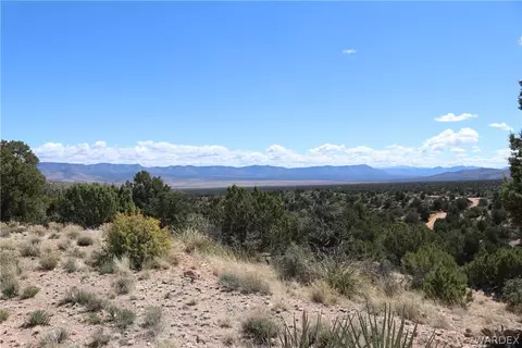 313-79 012c Mountain Springs Rd, Hackberry, AZ 86411 photo 20