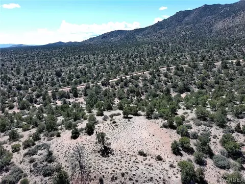 313-79 012c Mountain Springs Rd, Hackberry, AZ 86411 photo 15