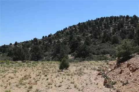 313-79 012c Mountain Springs Rd, Hackberry, AZ 86411 photo 2
