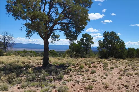 0000 Tbd Mountain Springs Rd, Hackberry, AZ 86411 photo 25
