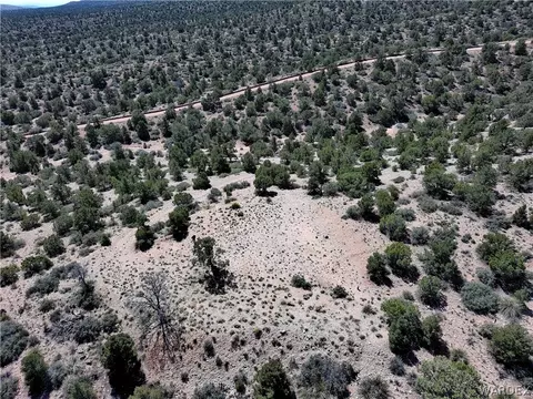 0000 Tbd Mountain Springs Rd, Hackberry, AZ 86411 photo 16
