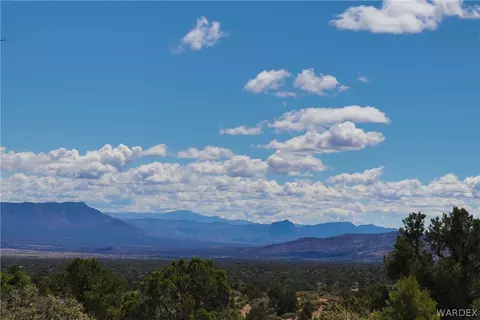 313-79 012c Mountain Springs Rd, Hackberry, AZ 86411 photo 28