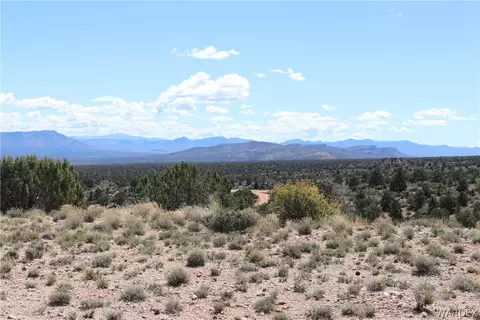 0000 Tbd Mountain Springs Rd, Hackberry, AZ 86411 photo 17