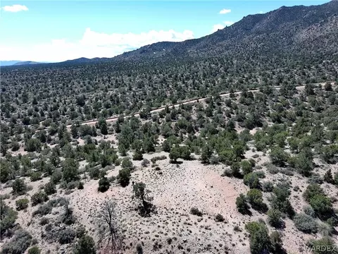 0000 Tbd Mountain Springs Rd, Hackberry, AZ 86411 photo 15