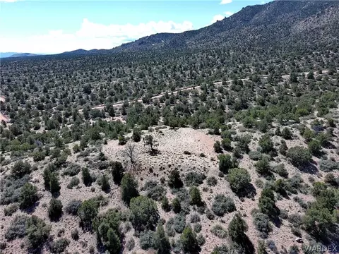 0000 Tbd Mountain Springs Rd, Hackberry, AZ 86411 photo 14
