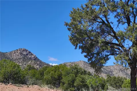 0000 Tbd Mountain Springs Rd, Hackberry, AZ 86411 photo 31