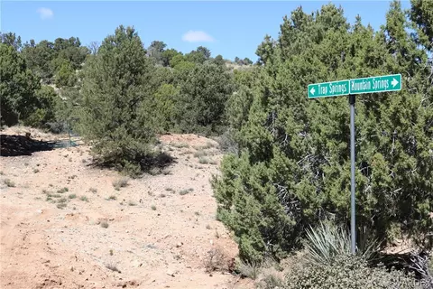 313-79 012c Mountain Springs Rd, Hackberry, AZ 86411 photo 35