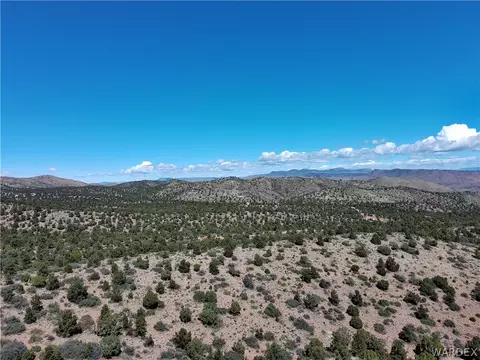 313-79 012c Mountain Springs Rd, Hackberry, AZ 86411 photo 13
