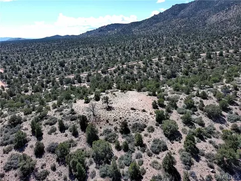 313-79 012c Mountain Springs Rd, Hackberry, AZ 86411 photo 14