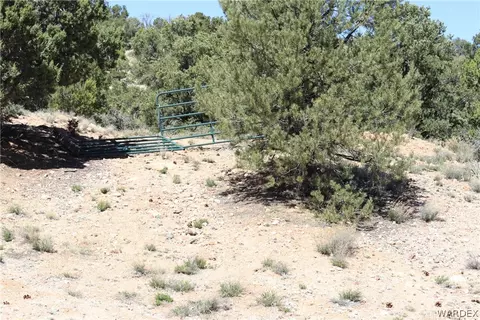 313-79 012c Mountain Springs Rd, Hackberry, AZ 86411 photo 34