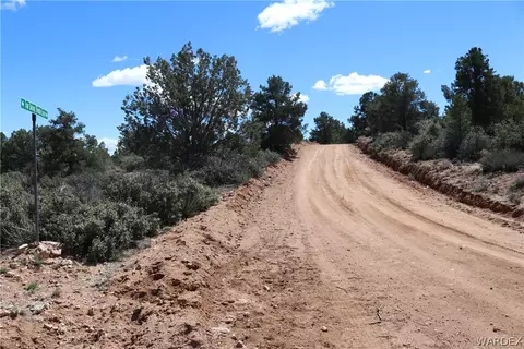 313-79 012c Mountain Springs Rd, Hackberry, AZ 86411 photo 33