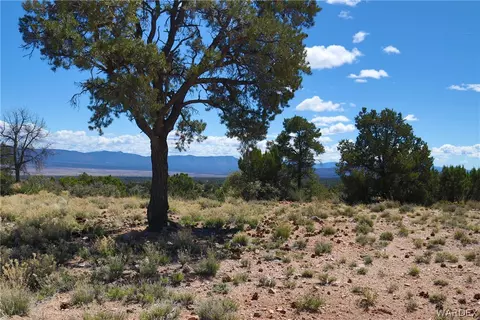 313-79 012c Mountain Springs Rd, Hackberry, AZ 86411 photo 25