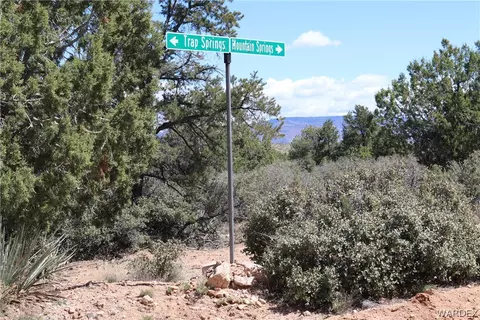 313-79 012c Mountain Springs Rd, Hackberry, AZ 86411 photo 32