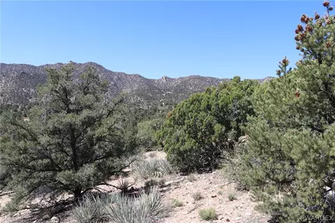 313-79 012c Mountain Springs Rd, Hackberry, AZ 86411 photo 21