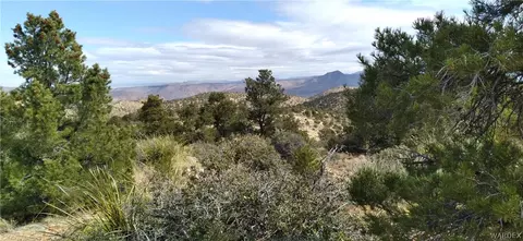 0000 Tbd Mountain Springs Rd, Hackberry, AZ 86411