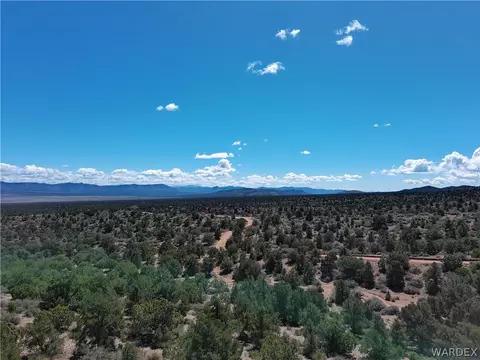 313-79 012c Mountain Springs Rd, Hackberry, AZ 86411 photo 6