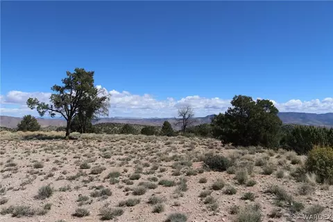 0000 Tbd Mountain Springs Rd, Hackberry, AZ 86411 photo 19
