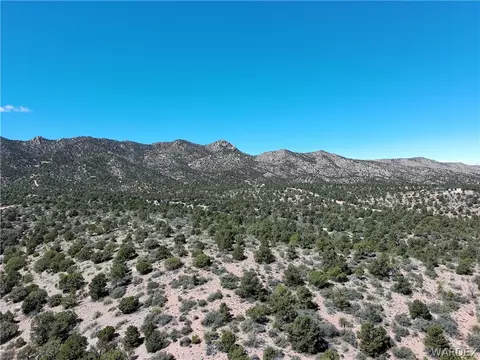 313-79 012c Mountain Springs Rd, Hackberry, AZ 86411 photo 12