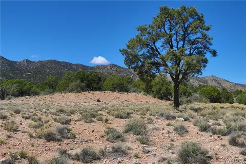 0000 Tbd Mountain Springs Rd, Hackberry, AZ 86411 photo 30