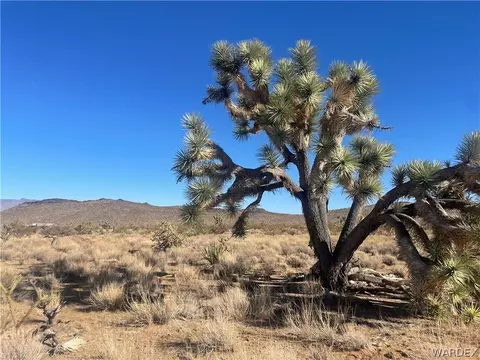 lot24 Telegraph, Dolan Springs, AZ 86441