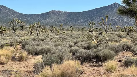 0 Lake Mead City Unit No 29-29-16 #LOT 410, Meadview, AZ 86444