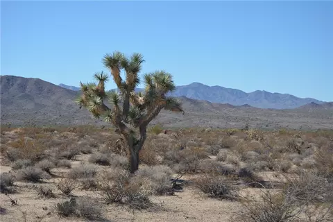 207-35 S 005 S Arlington Rd, Yucca, AZ 86438