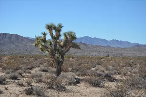 3271 S Arlington Rd, Yucca, AZ 86438
