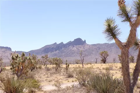 327-05 N 338 N Lost Mine, Dolan Springs, AZ 86441