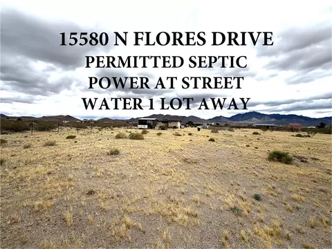 15580 N Flores Dr, Dolan Springs, AZ 86441