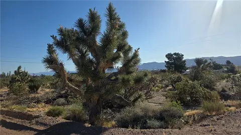 29952 Driftwood Dr, Meadview, AZ 86444