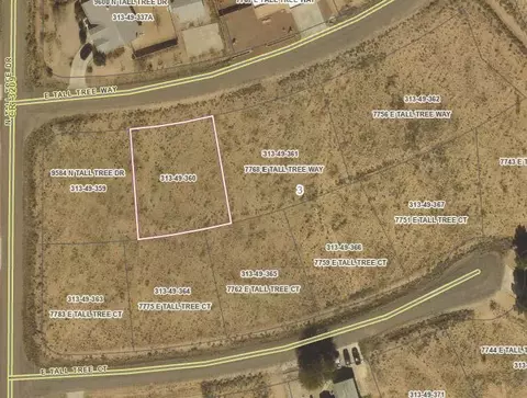 7768 E Tall Tree Way, Kingman, AZ 86401