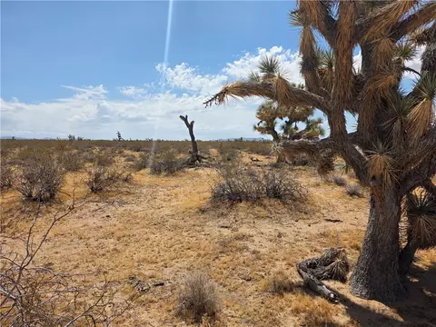 Parcel 2328 S Tom Mix Road, Yucca, AZ 86438