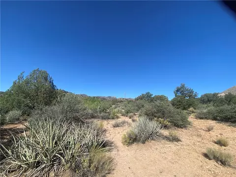 00 Pine Valley Dr, Hackberry, AZ 86411 photo 17